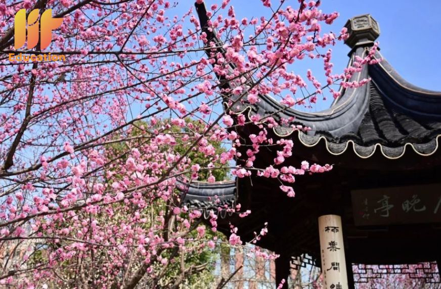 Từ vựng tiếng trung chủ đề Tết Nguyên Đán