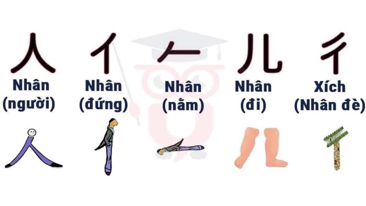 Ý nghĩa của bộ nhân trong tiếng Trung