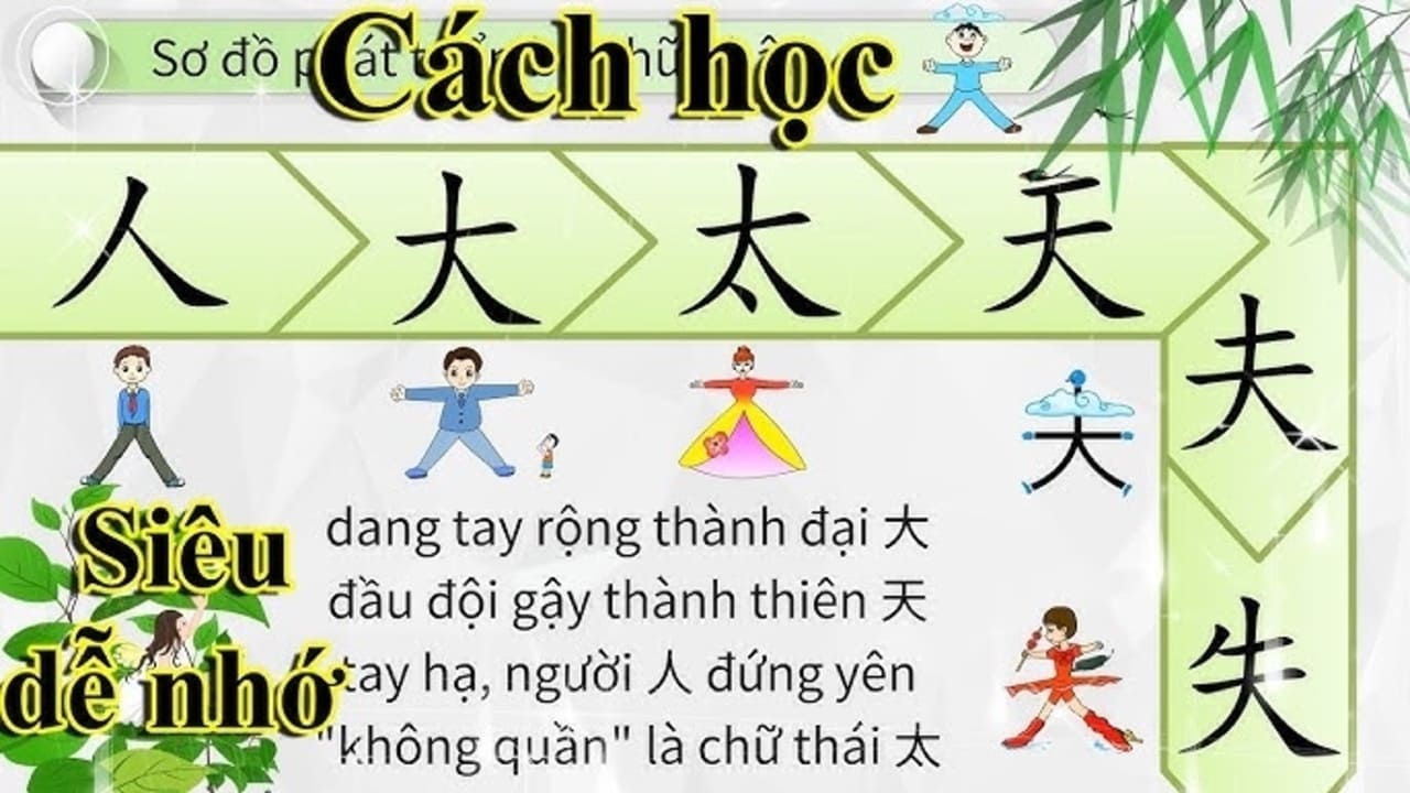 Cách học dễ nhớ cho người mới bắt đầu