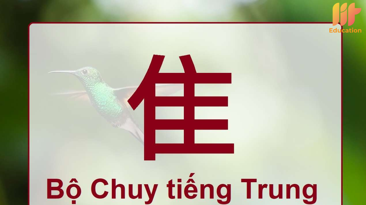 Bộ chuy trong tiếng Trung là gì?